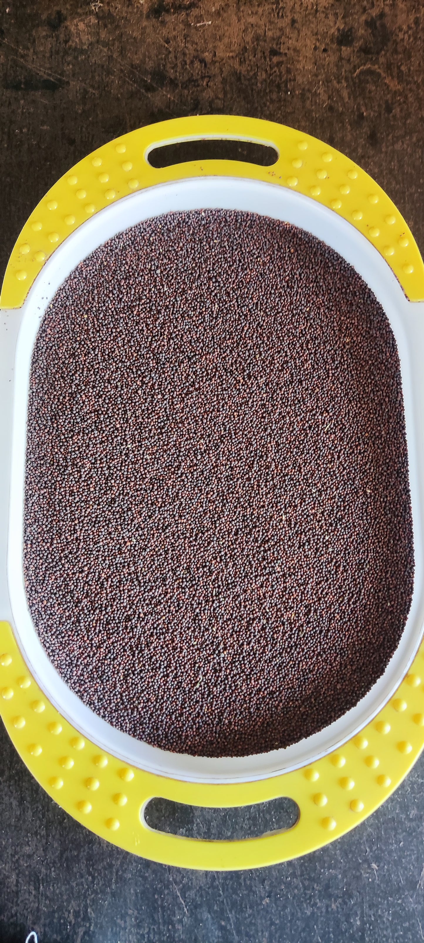 RAI (Mustard Seed)